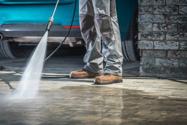 Best Soft Washing  in Kalona, IA