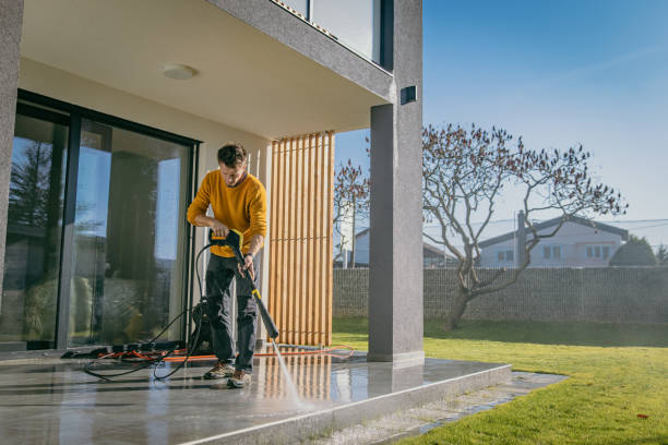 Best Roof Washing  in Kalona, IA