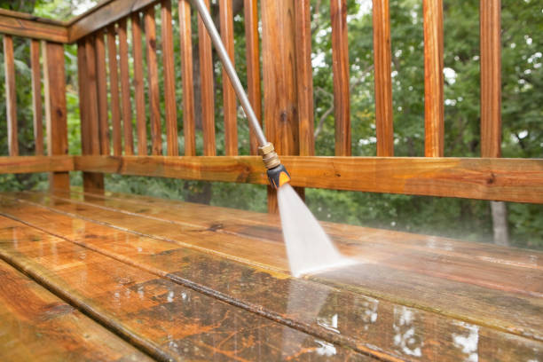 Best Fence Cleaning  in Kalona, IA